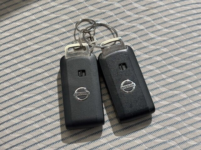 2013 NISSAN DAYS